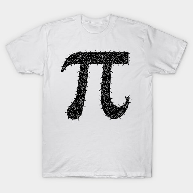 Hair Pi Math Joke T-Shirt by atomguy